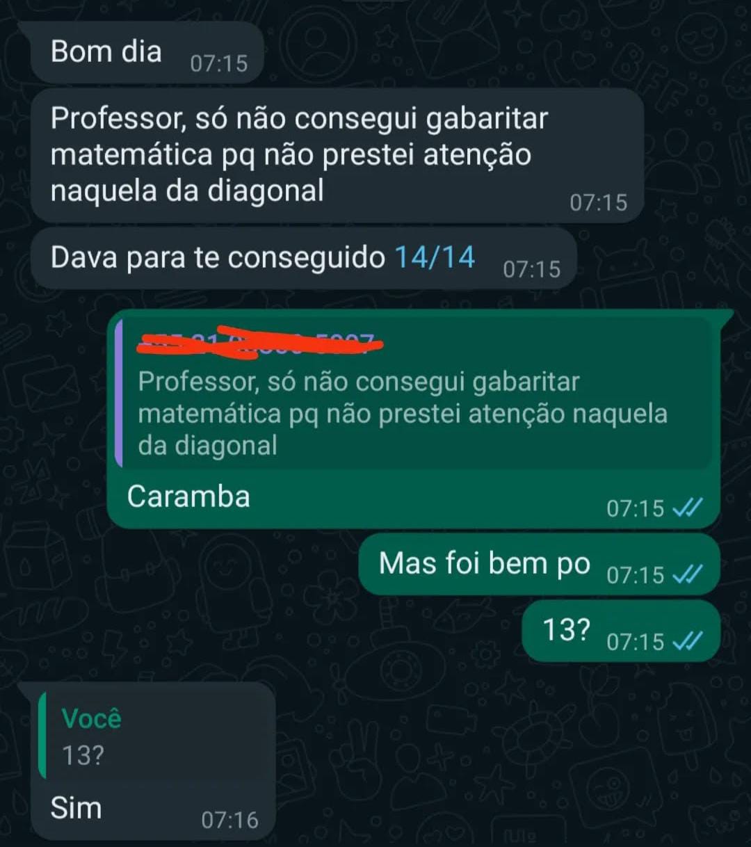 Print de conversa do aluno João